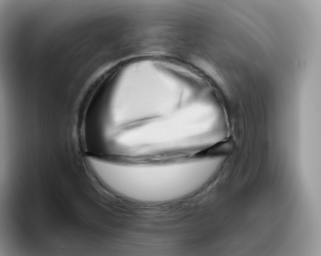 X0000095921452200802081103