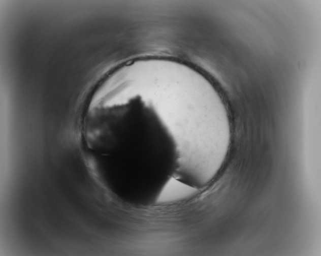 X0000095921455200802081103