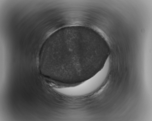 X0000095921457200802081103