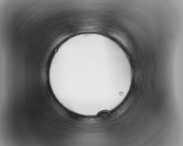 X0000095921458200802081103