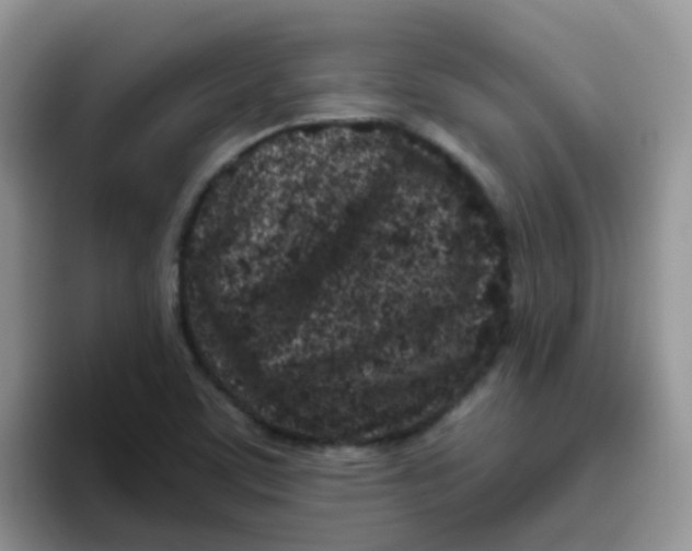 X0000095921459200802081103