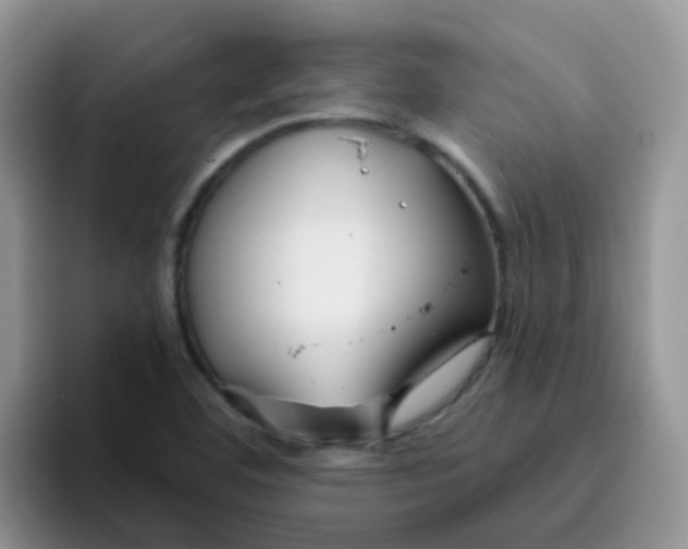 X0000095921460200802081103