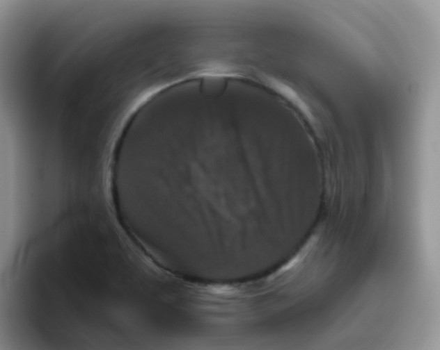 X0000095921463200802081103