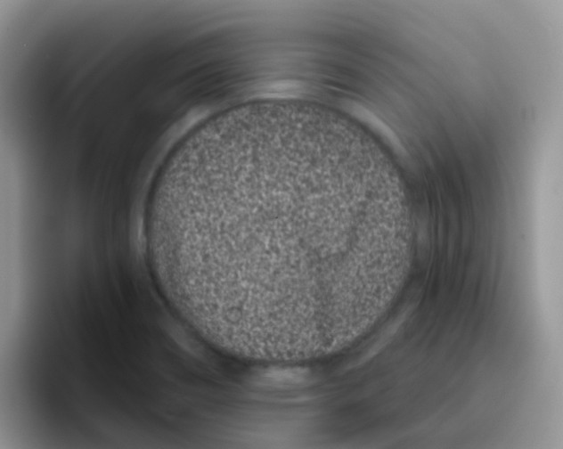 X0000095921466200802081103