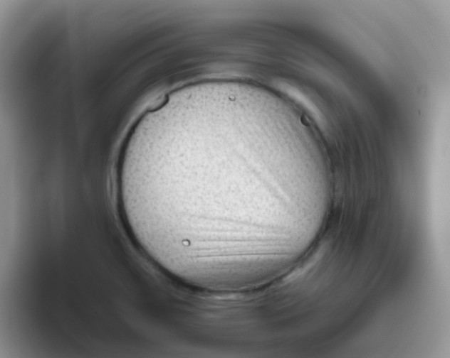 X0000095921467200802081103