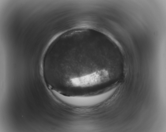 X0000095921468200802081103