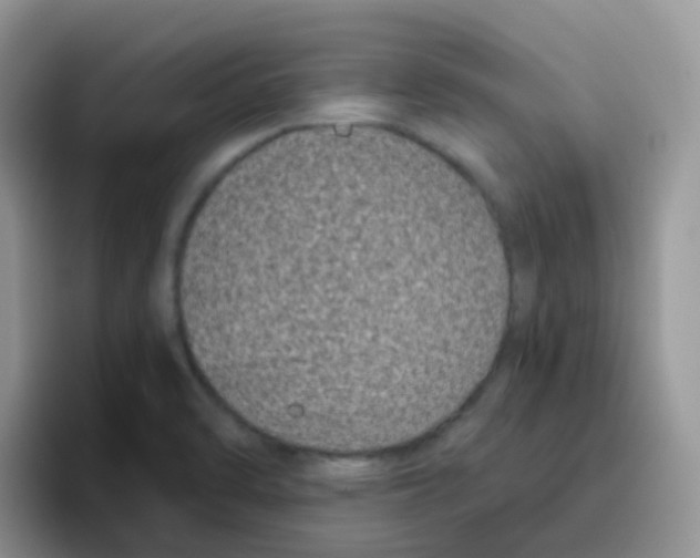 X0000095921470200802081103