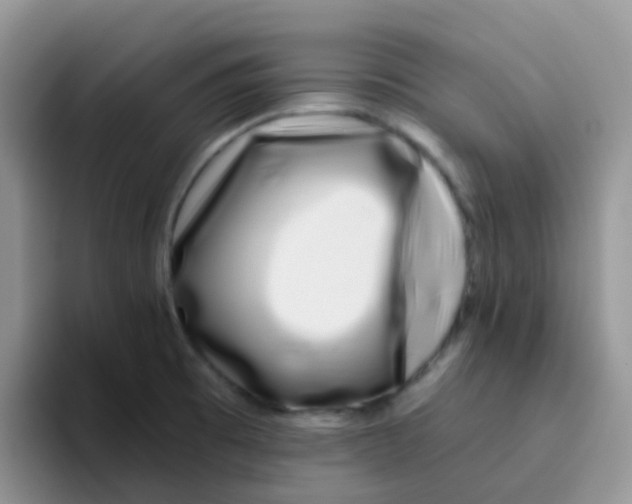 X0000095921473200802081103