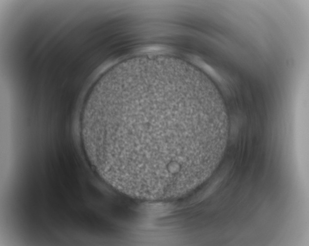 X0000095921474200802081103