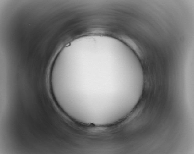 X0000095921475200802081103