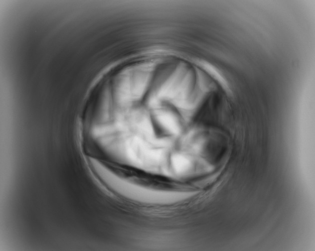 X0000095921476200802081103