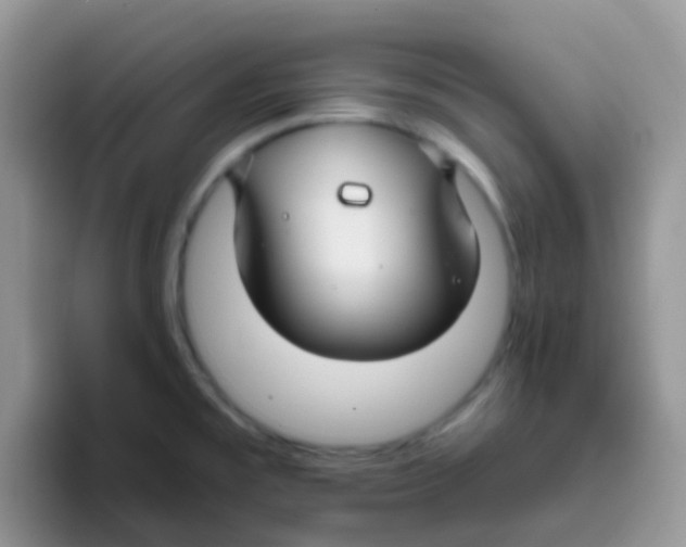 X0000095921477200802081103