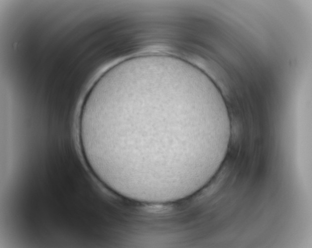 X0000095921478200802081103