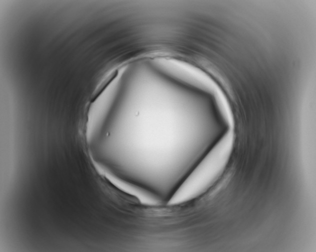 X0000095921481200802081103