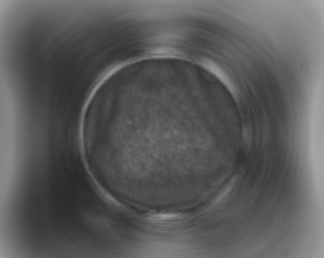 X0000095921482200802081103