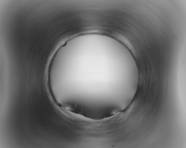 X0000095921483200802081103