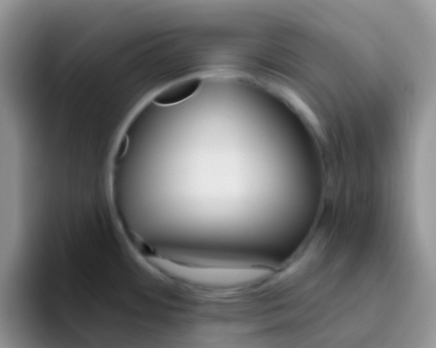 X0000095921484200802081103