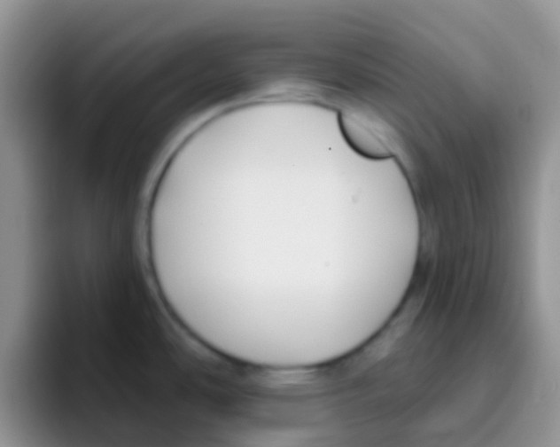 X0000095921486200802081103