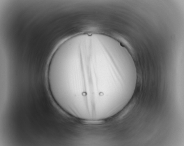 X0000095921487200802081103