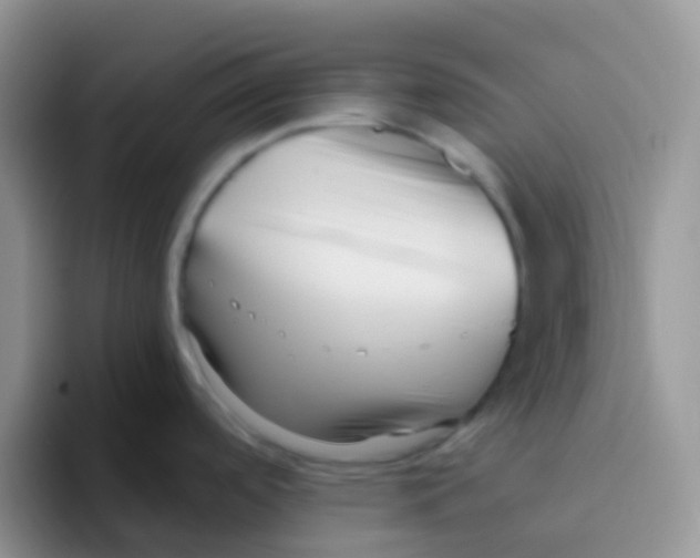 X0000095921488200802081103