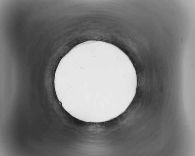 X0000095921489200802081102