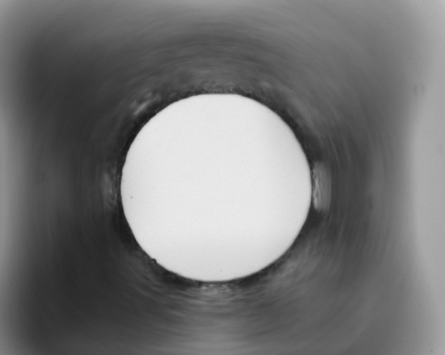 X0000095921491200802081102