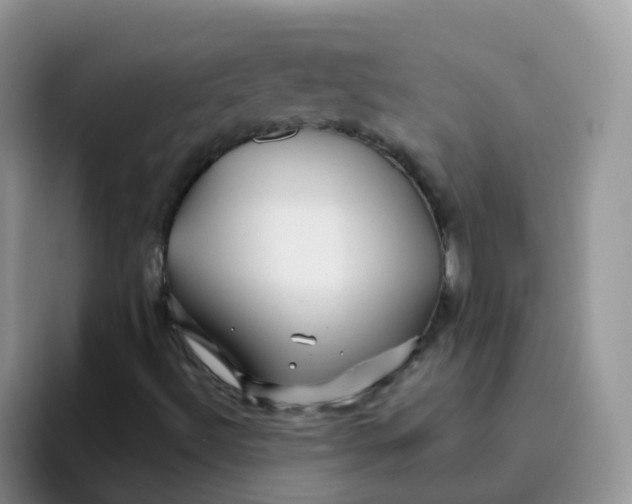 X0000095921492200802081102