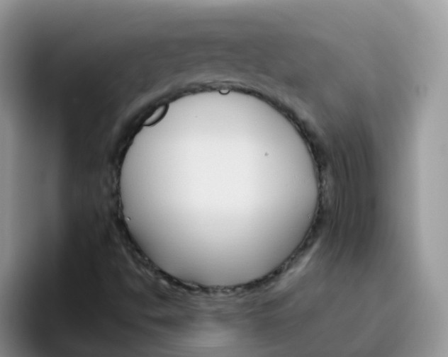 X0000095921494200802081102