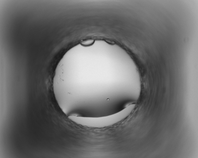 X0000095921495200802081102