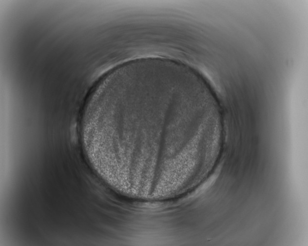 X0000095921497200802081102