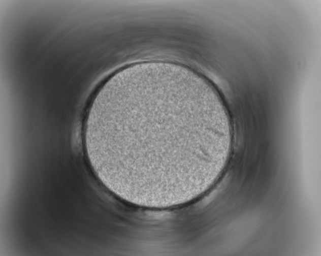 X0000095921498200802081102