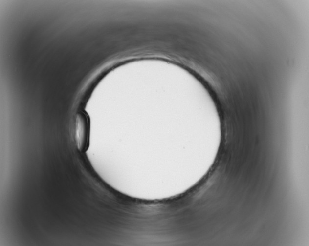 X0000095921502200802081102