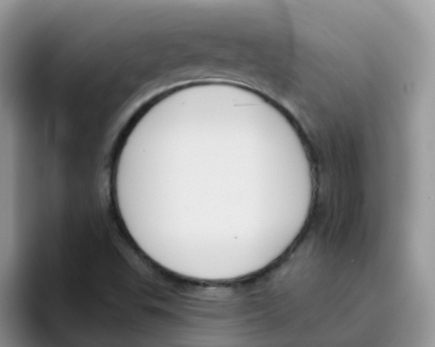 X0000095921503200802081102