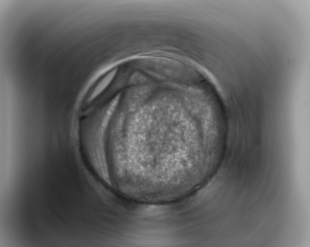 X0000095921506200802081102