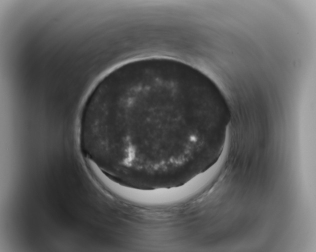 X0000095921508200802081102