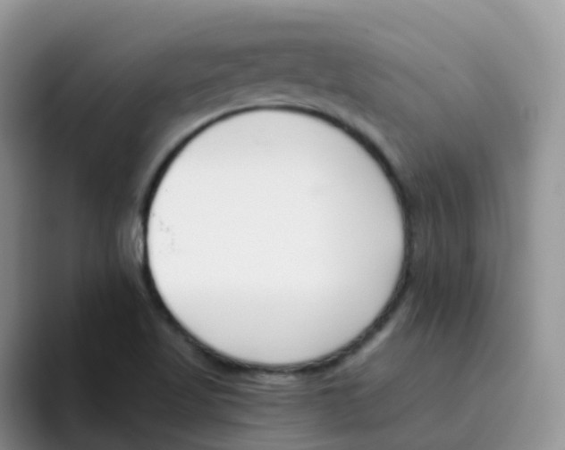 X0000095921509200802081103