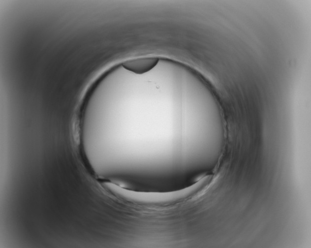 X0000095921510200802081103