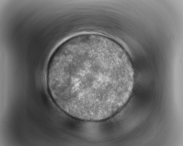 X0000095921514200802081103