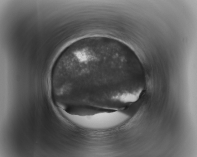 X0000095921515200802081103