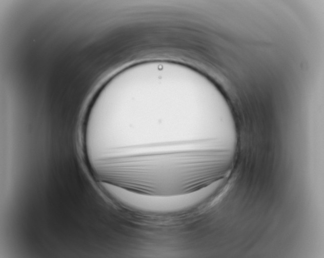 X0000095921517200802081103