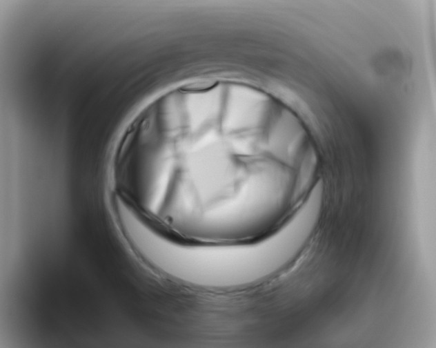 X0000095921520200802081103