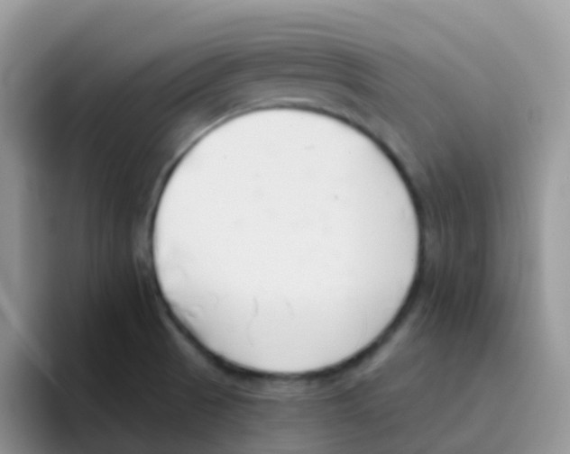 X0000095921521200802081103