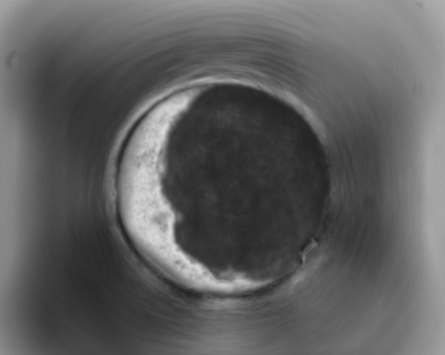 X0000095921522200802081103