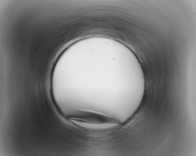 X0000095921523200802081103