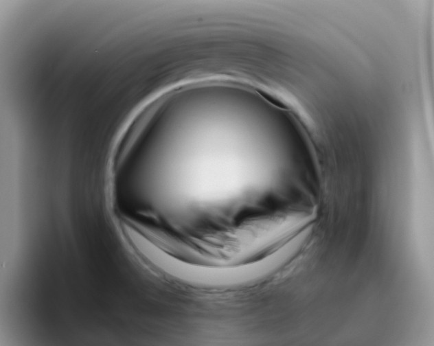 X0000095921524200802081103