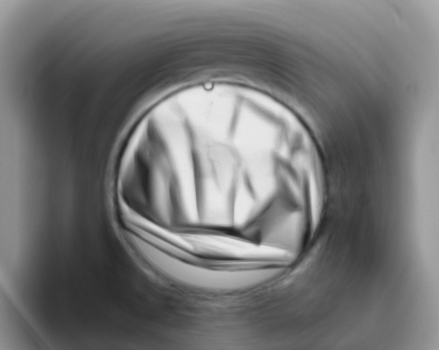 X0000095921525200802081103