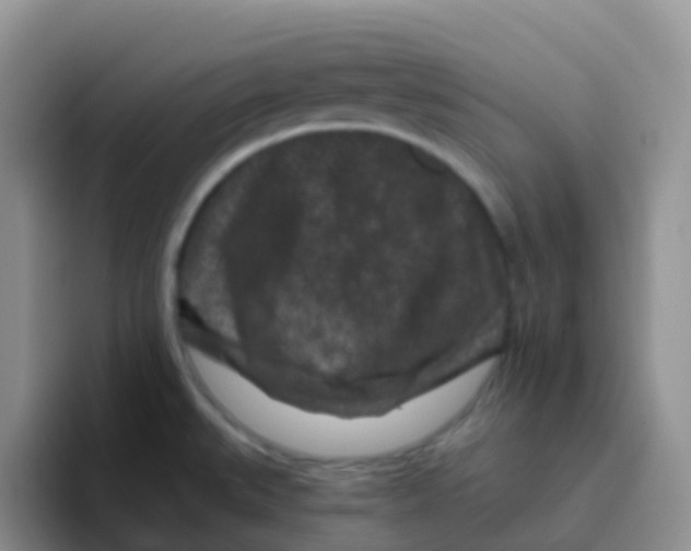 X0000095921527200802081103