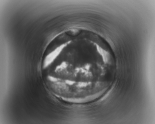 X0000095921529200802081103