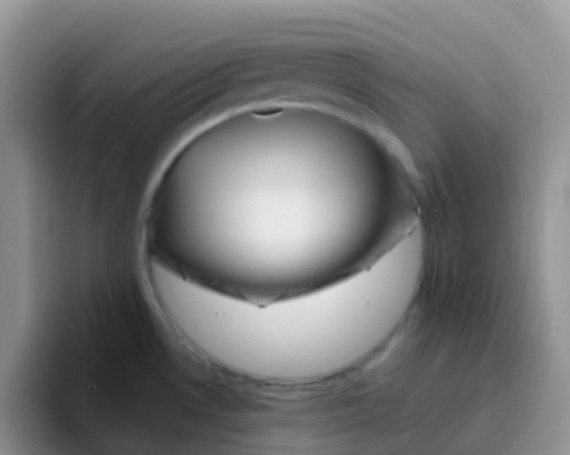 X0000095921530200802081103