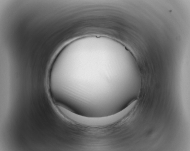 X0000095921531200802081103